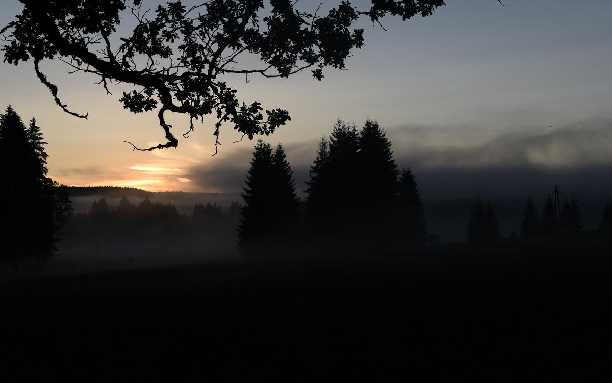 soumrak, krajina, západ slunce, stromy / foto: -ima-